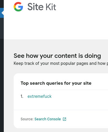 A screenshot of Google Site Kit results showing that the top and only search query for my site is "extremefuck" keyword...